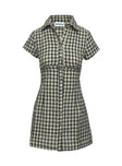 Motley Mini Dress Brown Check Tall