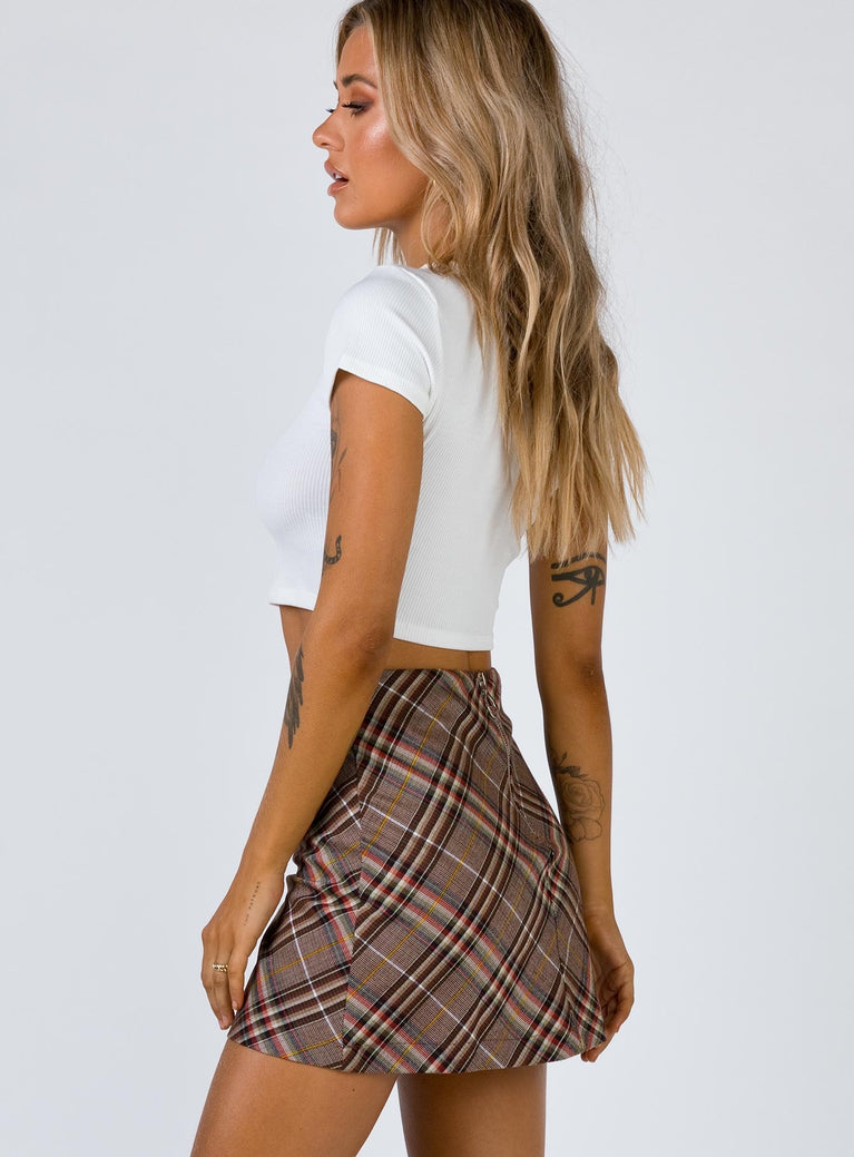 Darwin Mini Skirt Brown Multi